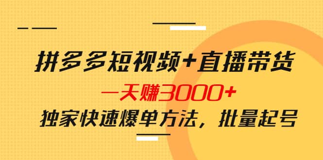 拼多多短视频+直播带货，一天赚3000+独家快速爆单方法，批量起号-巴叔叔资源网