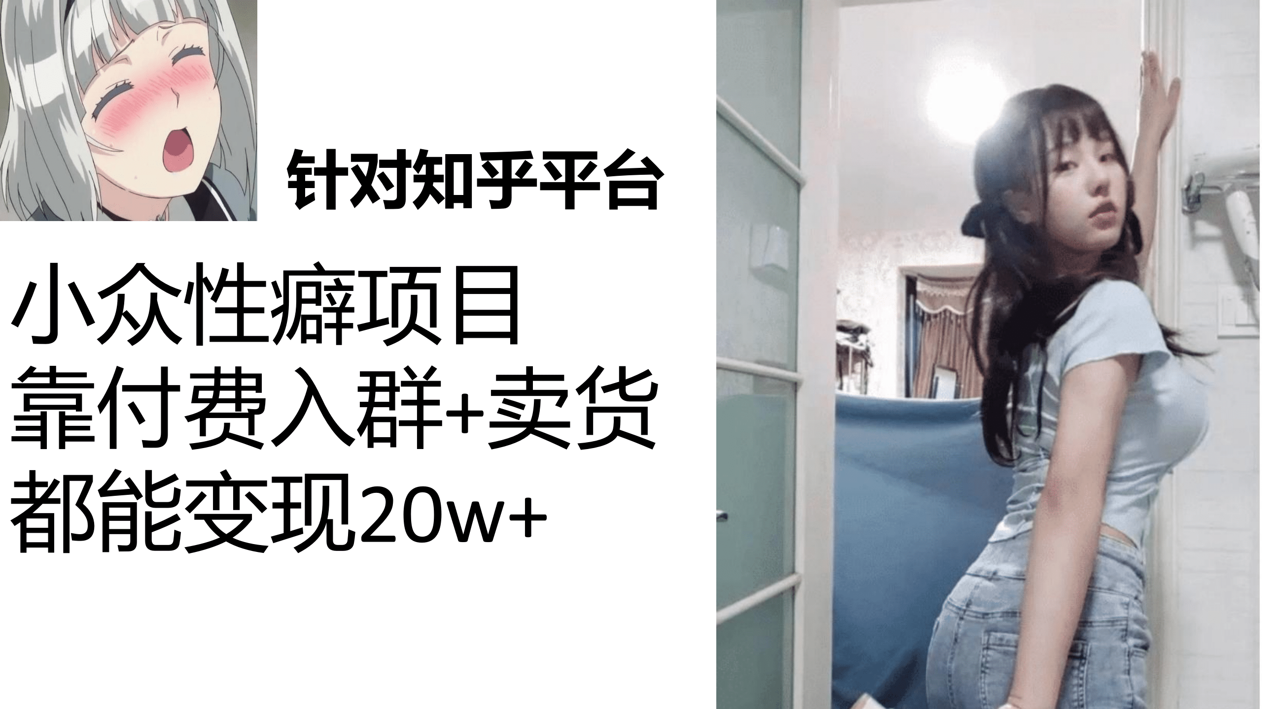 知乎小众性癖项目，Lsp的钱才是最好赚的，付费建群+卖货变现20w-巴叔叔资源网