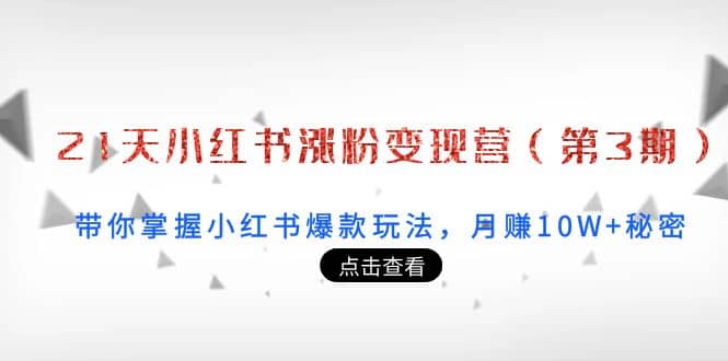 21天小红书涨粉变现营（第3期）：带你掌握小红书爆款玩法，月赚10W+秘密-巴叔叔资源网
