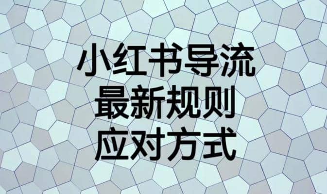小红书导流最新规则应对方式【揭秘】-巴叔叔资源网