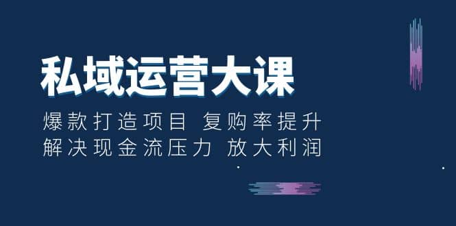 私域运营大课：爆款打造项目 复购率提升 解决现金流压力 放大利润-巴叔叔资源网