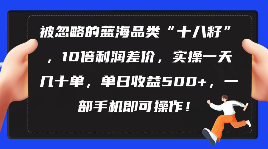 被忽略的蓝海品类“十八籽”，10倍利润差价，实操一天几十单 单日收益500+-巴叔叔资源网