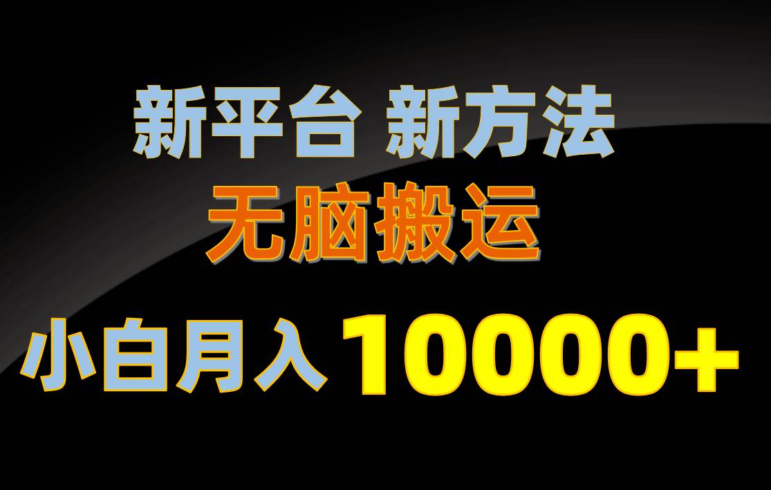 新平台新方法，无脑搬运，月赚10000+，小白轻松上手不动脑-巴叔叔资源网
