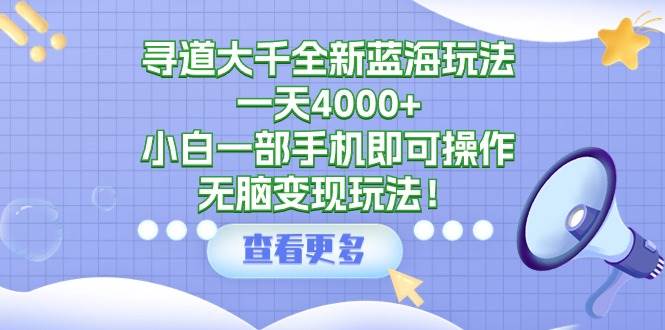 寻道大千全新蓝海玩法，一天4000+，小白一部手机即可操作，无脑变现玩法！-巴叔叔资源网
