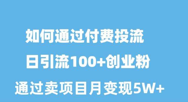 如何通过付费投流日引流100+创业粉月变现5W+-巴叔叔资源网