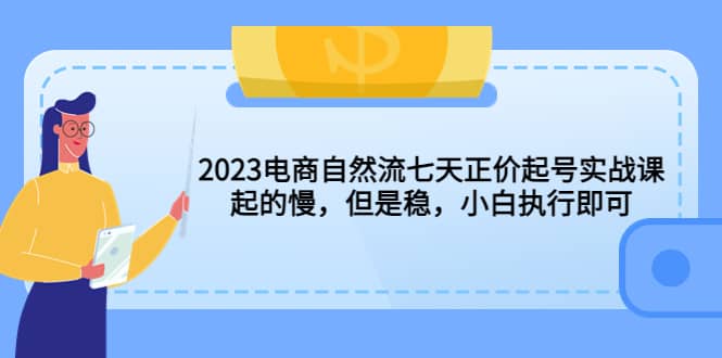 2023电商自然流七天正价起号实战课：起的慢，但是稳，小白执行即可-巴叔叔资源网