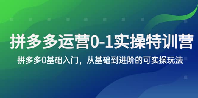 拼多多-运营0-1实操训练营，拼多多0基础入门，从基础到进阶的可实操玩法-巴叔叔资源网