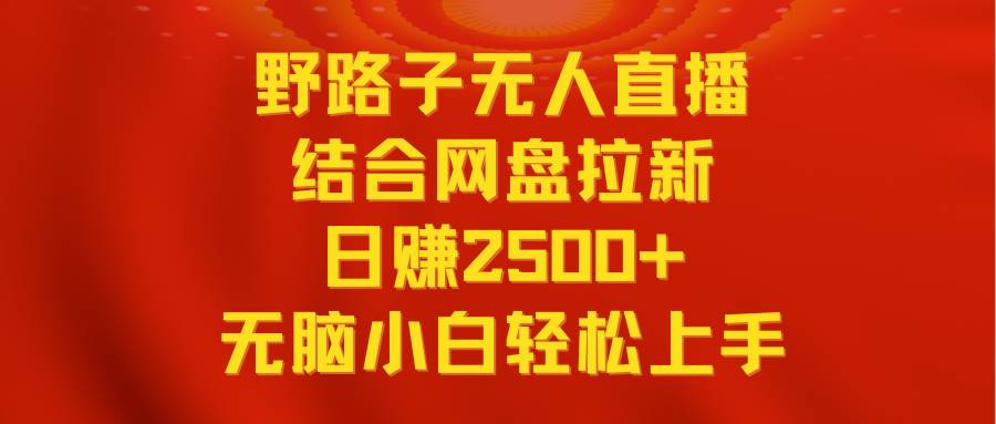 无人直播野路子结合网盘拉新，日赚2500+多平台变现，小白无脑轻松上手操作-巴叔叔资源网