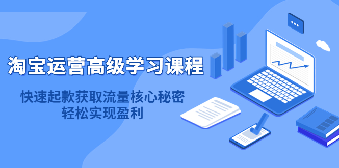 淘宝运营高级学习课程：快速获取流量核心秘密，轻松实现盈利！-巴叔叔资源网