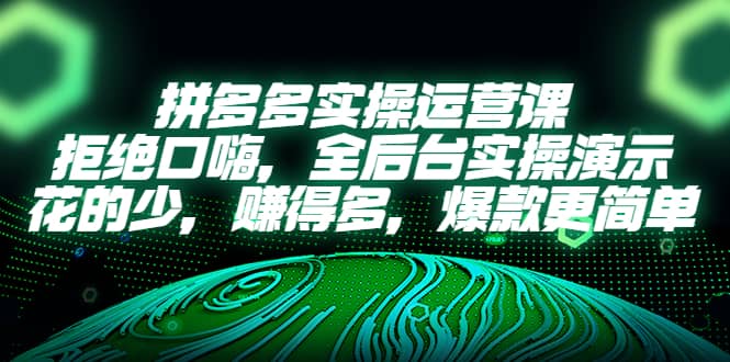 拼多多实操运营课：拒绝口嗨，全后台实操演示，花的少，赚得多，爆款更简单-巴叔叔资源网