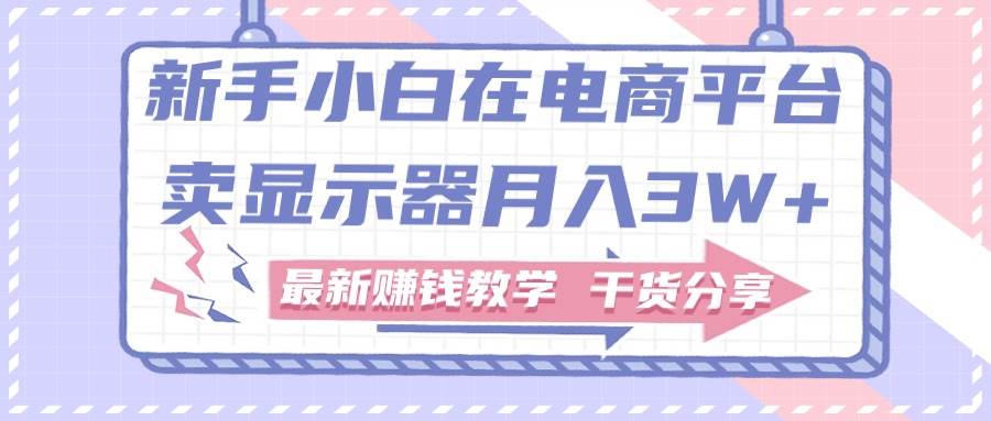 新手小白如何做到在电商平台卖显示器月入3W+，最新赚钱教学干货分享-巴叔叔资源网