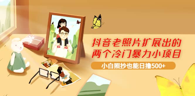抖音老照片扩展出的两个冷门暴力小项目，小白照抄也能日撸500+-巴叔叔资源网