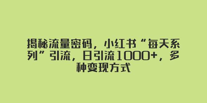 揭秘流量密码，小红书“每天系列”引流，日引流1000+，多种变现方式-巴叔叔资源网