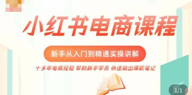小红书电商新手入门到精通实操课，从入门到精通做爆款笔记，开店运营-巴叔叔资源网