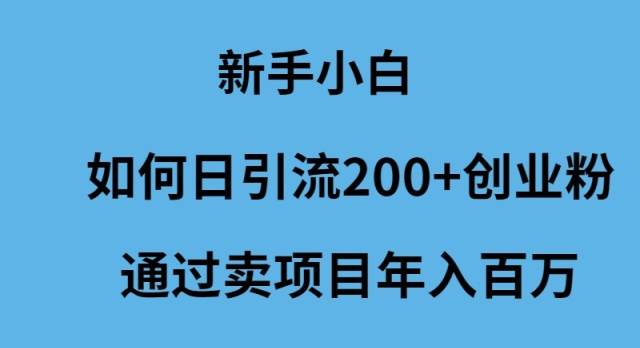 新手小白如何日引流200+创业粉通过卖项目年入百万-巴叔叔资源网