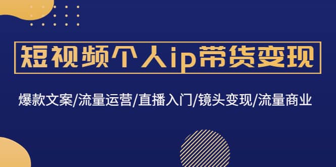 短视频个人ip带货变现：爆款文案/流量运营/直播入门/镜头变现/流量商业-巴叔叔资源网