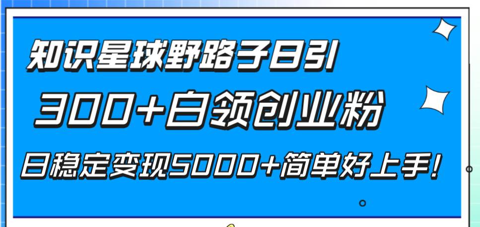 知识星球野路子日引300+白领创业粉，日稳定变现5000+简单好上手！-巴叔叔资源网