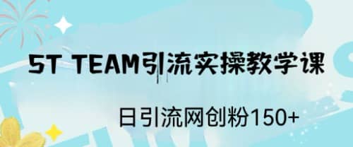 ST TEAM引流实操课，日引流网创粉100+-巴叔叔资源网