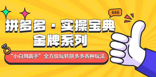 拼多多·实操宝典：金牌系列“小白到高手”带你全方位玩转拼多多各种玩法-巴叔叔资源网