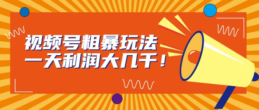 视频号粗暴玩法，一天利润大几千-巴叔叔资源网