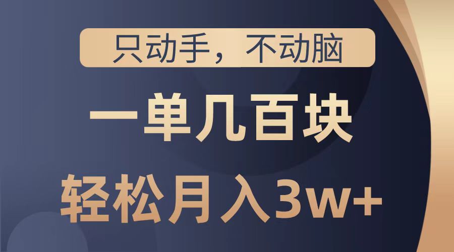 只动手不动脑，一单几百块，轻松月入2w+，看完就能直接操作，详细教程-巴叔叔资源网