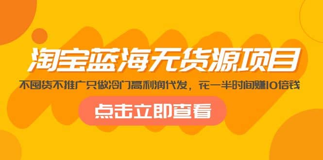 淘宝蓝海无货源项目，不囤货不推广只做冷门高利润代发-巴叔叔资源网