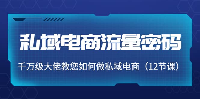 私域电商流量密码：千万级大佬教您如何做私域电商（12节课）-巴叔叔资源网