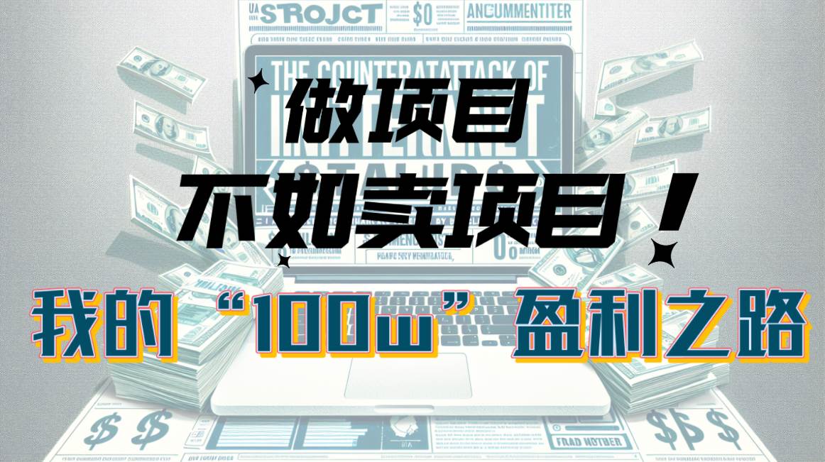 为什么做项目不如卖项目？我的100W+盈利之路-巴叔叔资源网