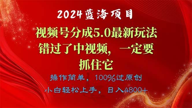 2024蓝海项目，视频号分成计划5.0最新玩法，错过了中视频，一定要抓住…-巴叔叔资源网