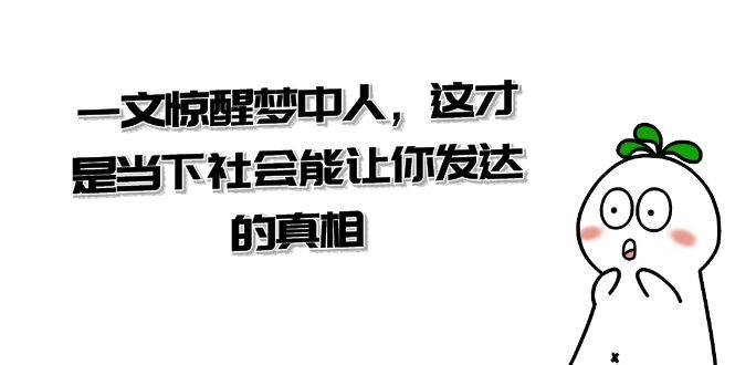 某公众号付费文章《一文 惊醒梦中人，这才是当下社会能让你发达的真相》-巴叔叔资源网