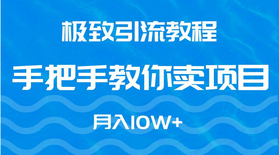 极致引流教程，手把手教你卖项目，月入10W+-巴叔叔资源网