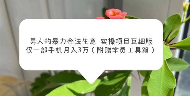 男人的暴力合法生意实操项目巨细版：仅一部手机月入3w（附赠学员工具箱）-巴叔叔资源网