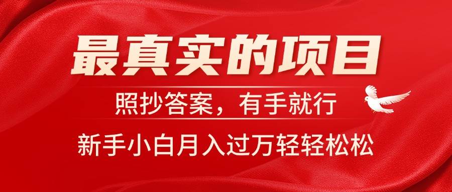 最真实的项目，照抄答案，有手就行，新手小白月入过万轻轻松松-巴叔叔资源网