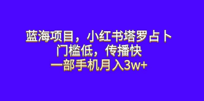 蓝海项目，小红书塔罗占卜，门槛低，传播快，一部手机月入3w+-巴叔叔资源网