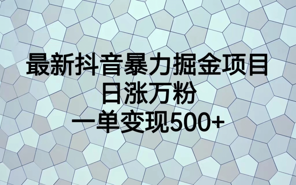 最火热的抖音暴力掘金项目，日涨万粉，多种变现方式，一单变现可达500+-巴叔叔资源网