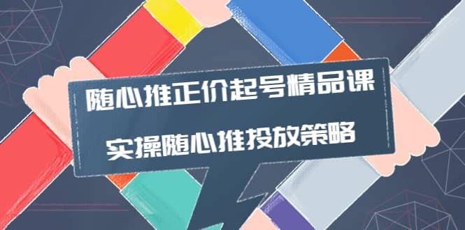 随心推正价起号精品课，实操随心推投放策略（5节课-价值298）-巴叔叔资源网