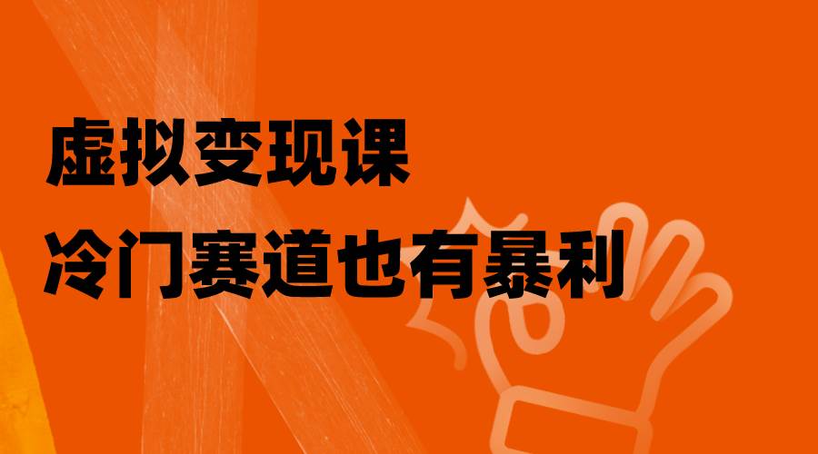 虚拟变现课，冷门赛道也有暴利，手把手教你玩转冷门私域-巴叔叔资源网