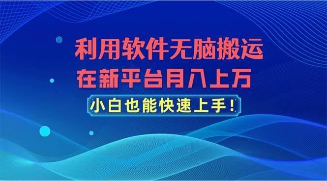 利用软件无脑搬运，在新平台月入上万，小白也能快速上手-巴叔叔资源网