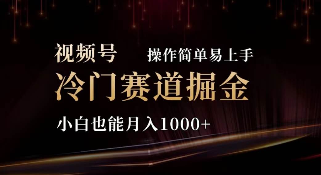 2024视频号冷门赛道掘金，操作简单轻松上手，小白也能月入1000+-巴叔叔资源网
