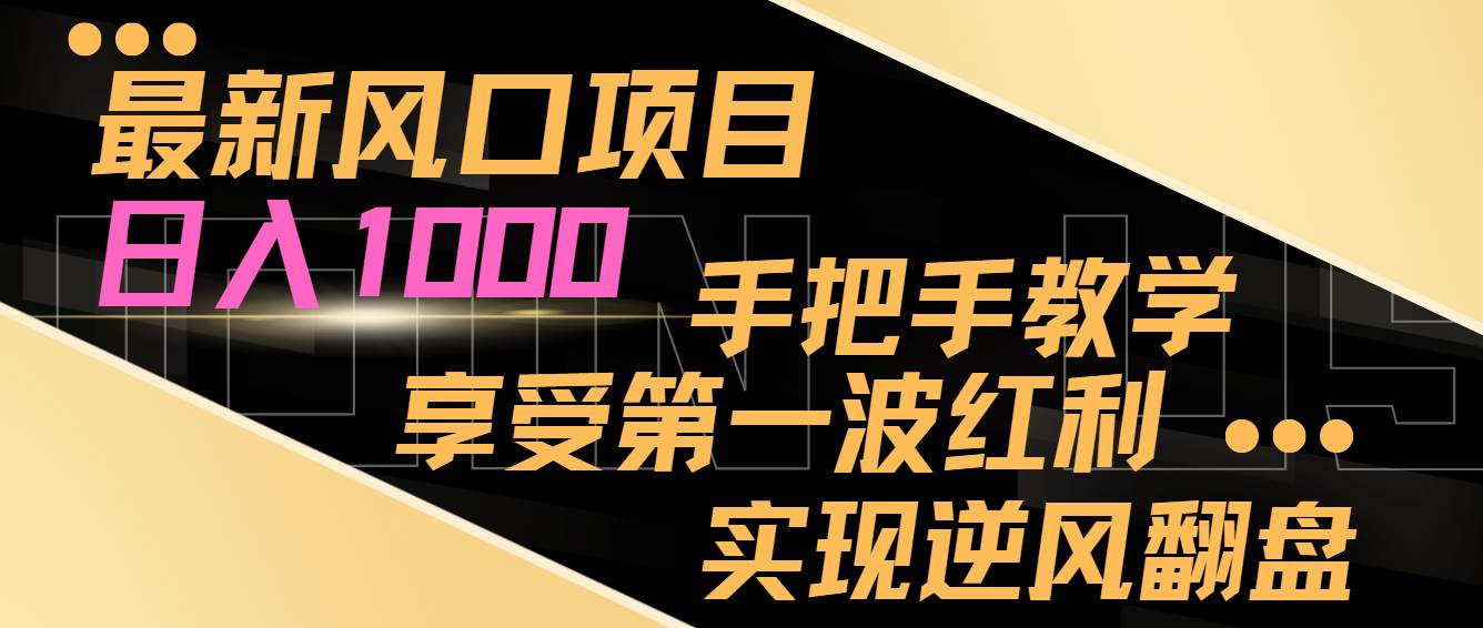 最新风口项目，日入过千，抓住当下风口，享受第一波红利，实现逆风翻盘-巴叔叔资源网