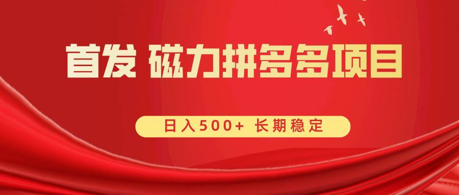 首发 磁力拼多多自撸  日入500+-巴叔叔资源网