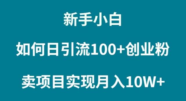新手小白如何通过卖项目实现月入10W+-巴叔叔资源网