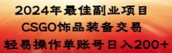2024年最佳副业项目 CSGO饰品装备交易 轻易操作单账号日入200+-巴叔叔资源网