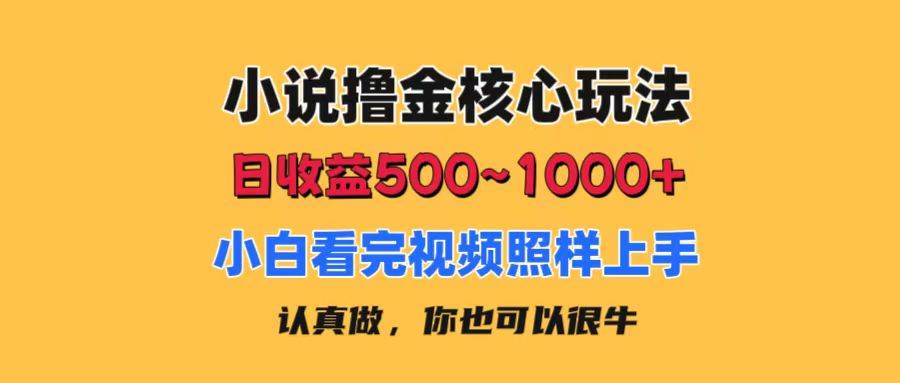 小说撸金核心玩法，日收益500-1000+，小白看完照样上手，0成本有手就行-巴叔叔资源网