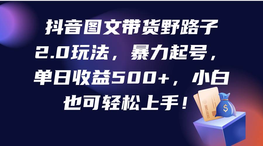 抖音图文带货野路子2.0玩法，暴力起号，单日收益500+，小白也可轻松上手！-巴叔叔资源网