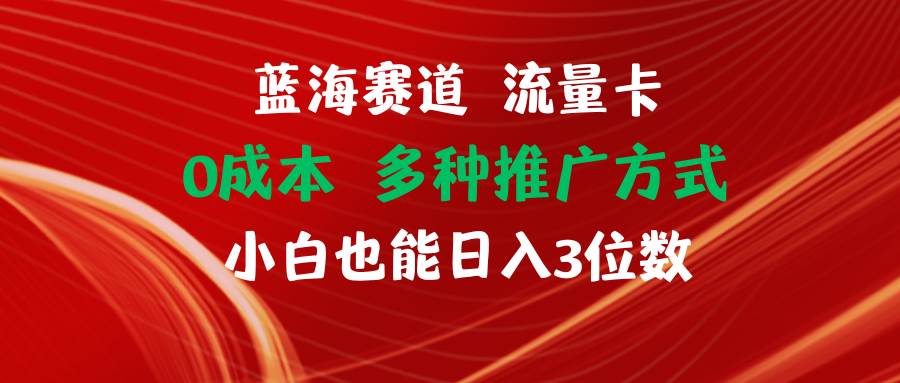 蓝海赛道 流量卡 0成本 小白也能日入三位数-巴叔叔资源网