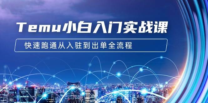 Temu小白入门实战课：跨境拼多多电商培训 快速跑通从入驻到出单全流程-12节-巴叔叔资源网