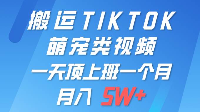 一键搬运TIKTOK萌宠类视频 一部手机即可操作 所有平台均可发布 轻松月入5W+-巴叔叔资源网