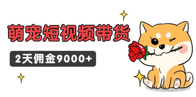 东哲日记·萌宠短视频带货，2天佣金9000+-巴叔叔资源网