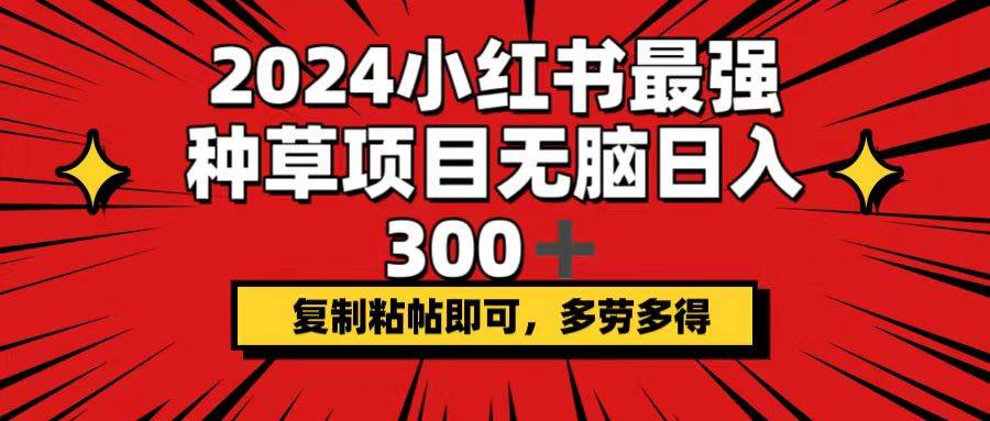 2024小红书最强种草项目，无脑日入300+，复制粘帖即可，多劳多得-巴叔叔资源网